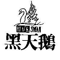 黑天鵝及圖 BLACK SWAN