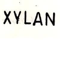 XYLAN