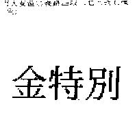 金特別