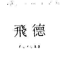 飛德 FLYLAB