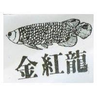 金紅龍及圖