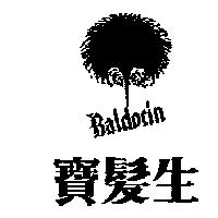 寶髮生及圖 BALDOCIN