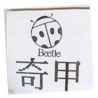 奇甲及圖 Beetle