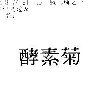 酵素菊