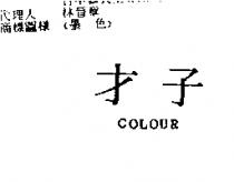 才子 COLOUR