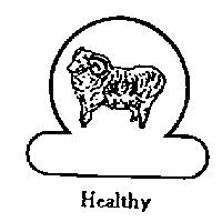 健康及圖 healthy