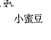 小蜜豆