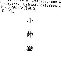 小帥貓
