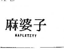 麻婆子 MAPLRTZYY