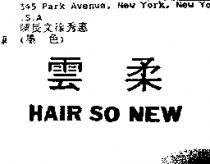 雲柔 HAIR SO NEW