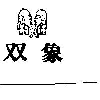 雙象及圖
