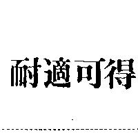 耐適可得
