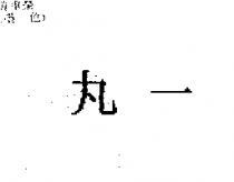 丸一