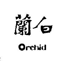 白蘭 Orchid