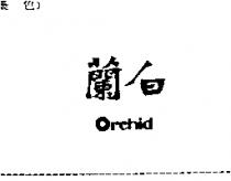 白蘭 Orchid