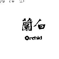 白蘭 Orchid