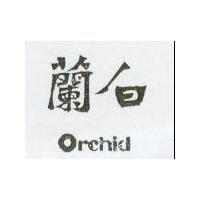 白蘭 Orchid