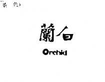 白蘭 Orchid