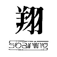 翔及圖