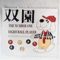 雙園及圖THE NUMBER ONE EIGHT-BALL PLAYER