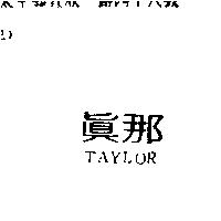 真那 TAYLOR