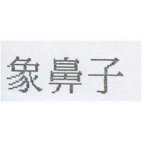 象鼻子