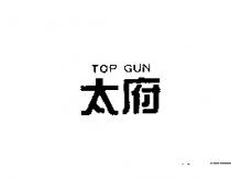 太府 TOP GUN