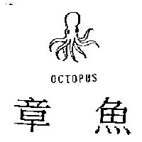 章魚及圖 OCTOPUS