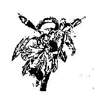 鐘玉交標章圖