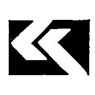 跑天下企業股份有限公司標章