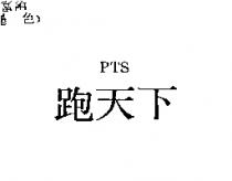 跑天下 PTS