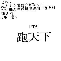 跑天下 PTS
