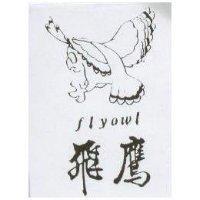 飛鷹及圖 Flyowl