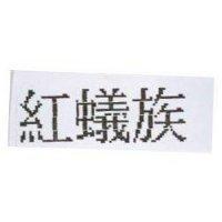 紅蟻族