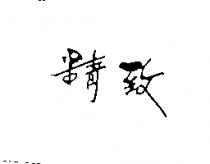 精致