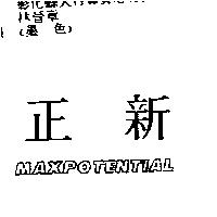 正新 VERTEX