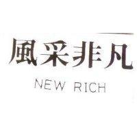 風采非凡 NEW RICH