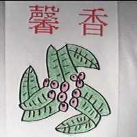 馨香及圖