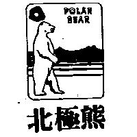 北極熊及圖 POLAR BEAR