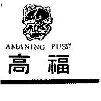 高福及圖 AMANING PUSSY