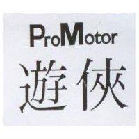 遊俠 Promotor