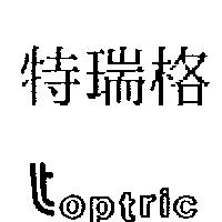 特瑞格 TOPTRIC
