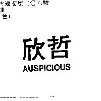欣哲 ARSPICIOUS