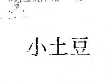 小土豆