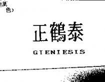 正鶴泰 GIENIESIS