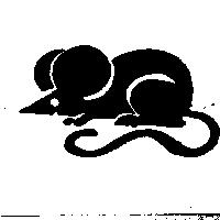 鼠圖
