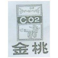 金桃及圖 C02