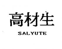 高材生 SALYUTE