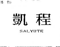 凱程 SALYUTE