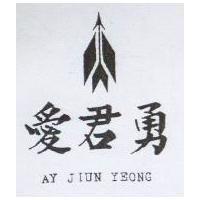 愛君勇及圖 AY JIUN YEONG